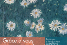 Grâce à vous, des marguerites ……… passionnément !