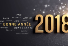 Bonne Année !!!