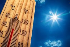 Canicule : nouvel épisode de fortes chaleurs