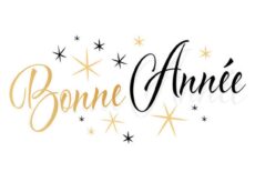 Voeux du Maire